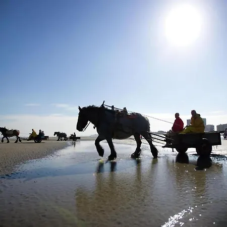 Lejlighed Seasight 1401 Located Directly On The *